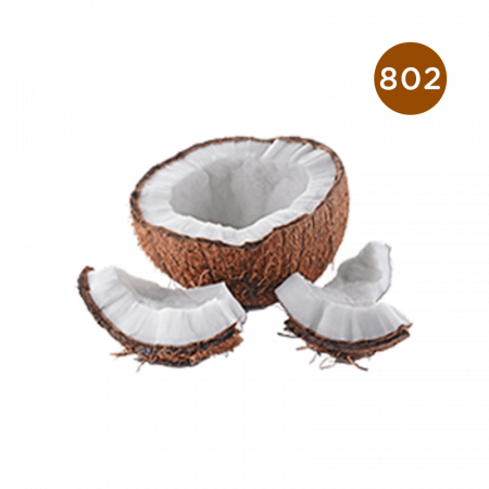 L'ARISÉ - 802 - Tropical Coconut