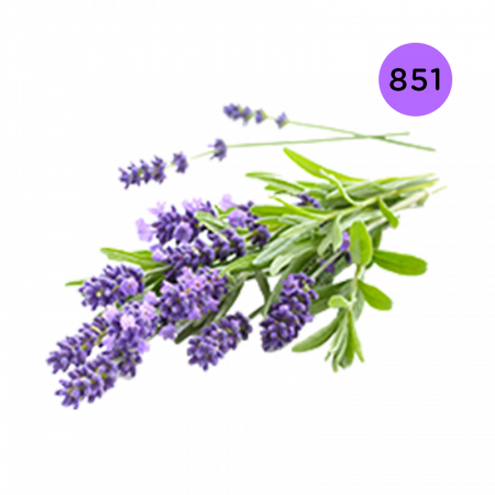 L'ARISÉ - 851 - Lavendel