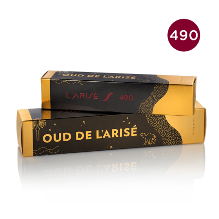 L'ARISÉ - 490 - Oud de L'ARISÉ