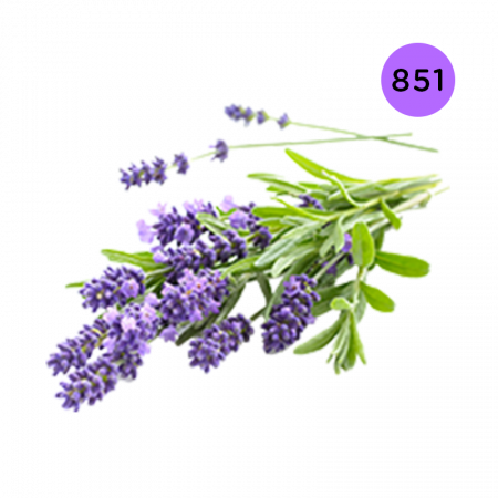 L'ARISÉ - 851 - Lavanda